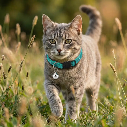 Cat collar with safety clasp & bell | Adjustable