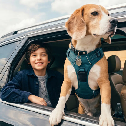 SafeRide – The adjustable safety belt for dogs in the car