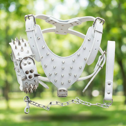 Leather Dog Harness | Adjustable Spiked Harness for Dogs