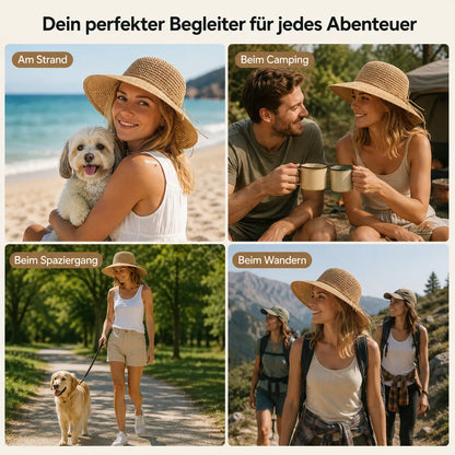 Sonnenhut Anwendungsszenarien 