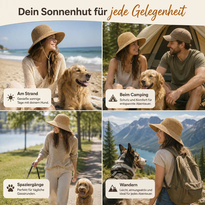 Sonnenhut Anwendungsszenarien 