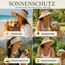 Sonnenhut Anwendungsszenarien 