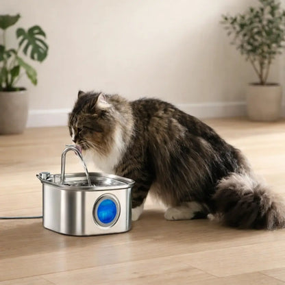 Stainless Steel Cat Drinking Fountain 3.2L | Quiet & Hygienic