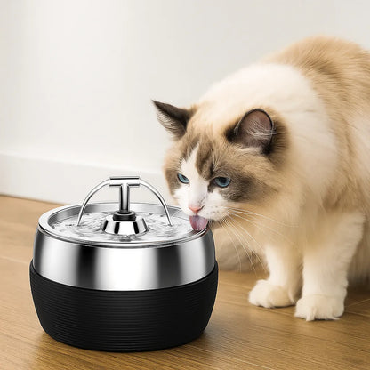Trinkbrunnen katze