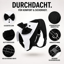Elegantes_Hundegeschirr Produktmerkmale 