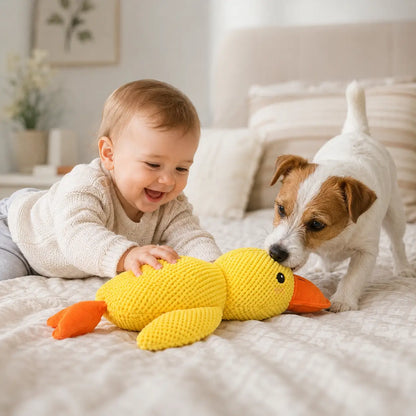 Hundespielzeug  Lifestyle-Bild 