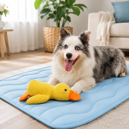 Hundespielzeug  Innen