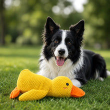Hund mit Enten-Hundespielzeug
