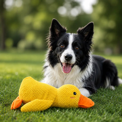 Hund mit Enten-Hundespielzeug
