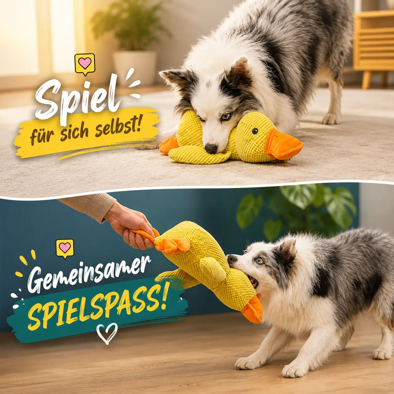 Hund mit Enten-Hundespielzeug