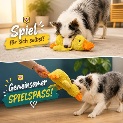 Hund mit Enten-Hundespielzeug