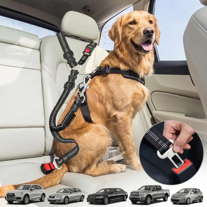 SafeRide – The adjustable safety belt for dogs in the car