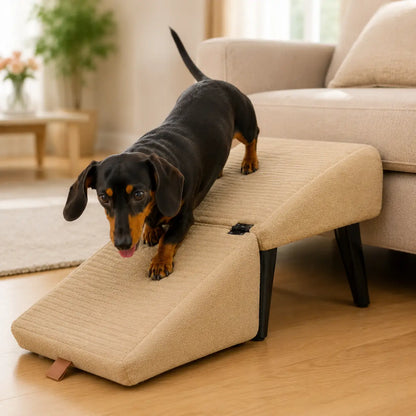 Faltbare Hundetreppe Lifestyle-Bild