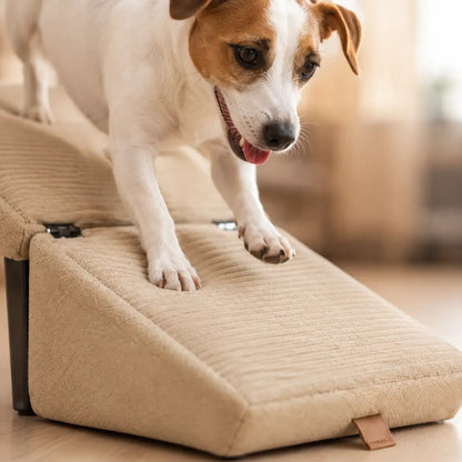 Faltbare Hundetreppe Lifestyle-Bild