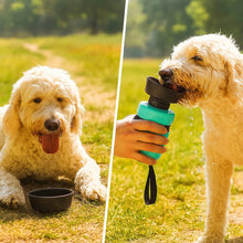 Hundewasserflasche Vergleich 