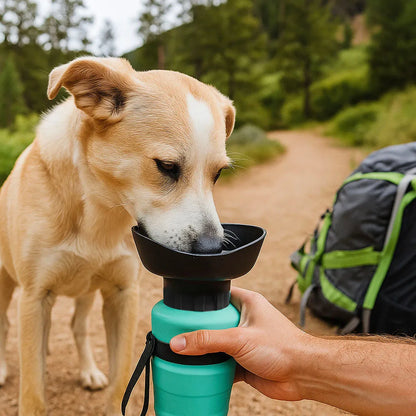 Hundewasserflasche Lifestyle-Bild
