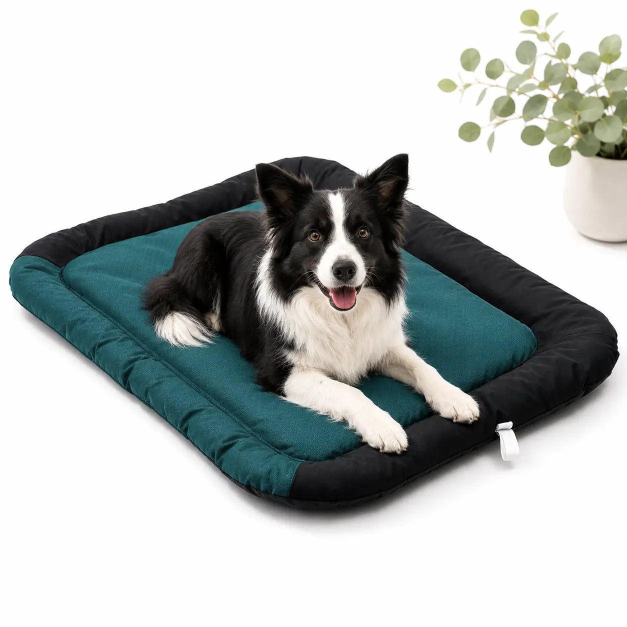 Hundebett-Held