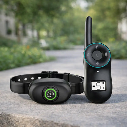 Anti-Bell Hunde Halsband mit Fernbedienung | Wasserdicht & USB