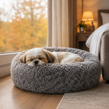 Hundebett Hauptbild