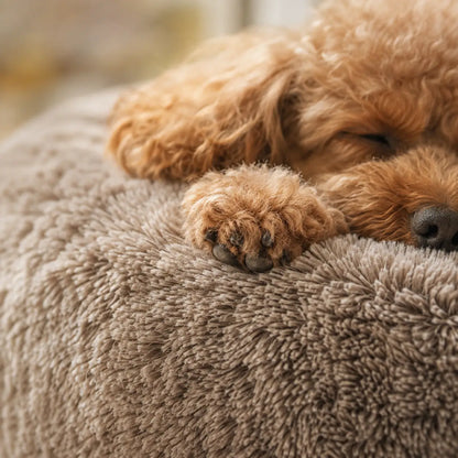 Hundebett Lifestyle-Bild