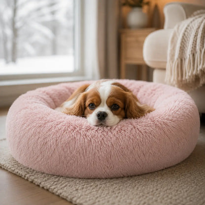 Hundebett Lifestyle-Bild