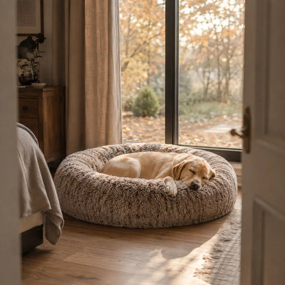 Hundebett Lifestyle-Bild