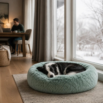 Hundebett Lifestyle-Bild