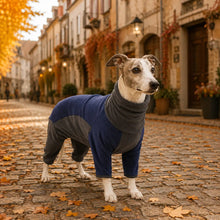 Hundemantel Lifestyle-Bild