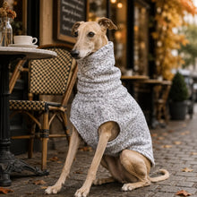 Fleece Hundemantel Lifestyle-Bild