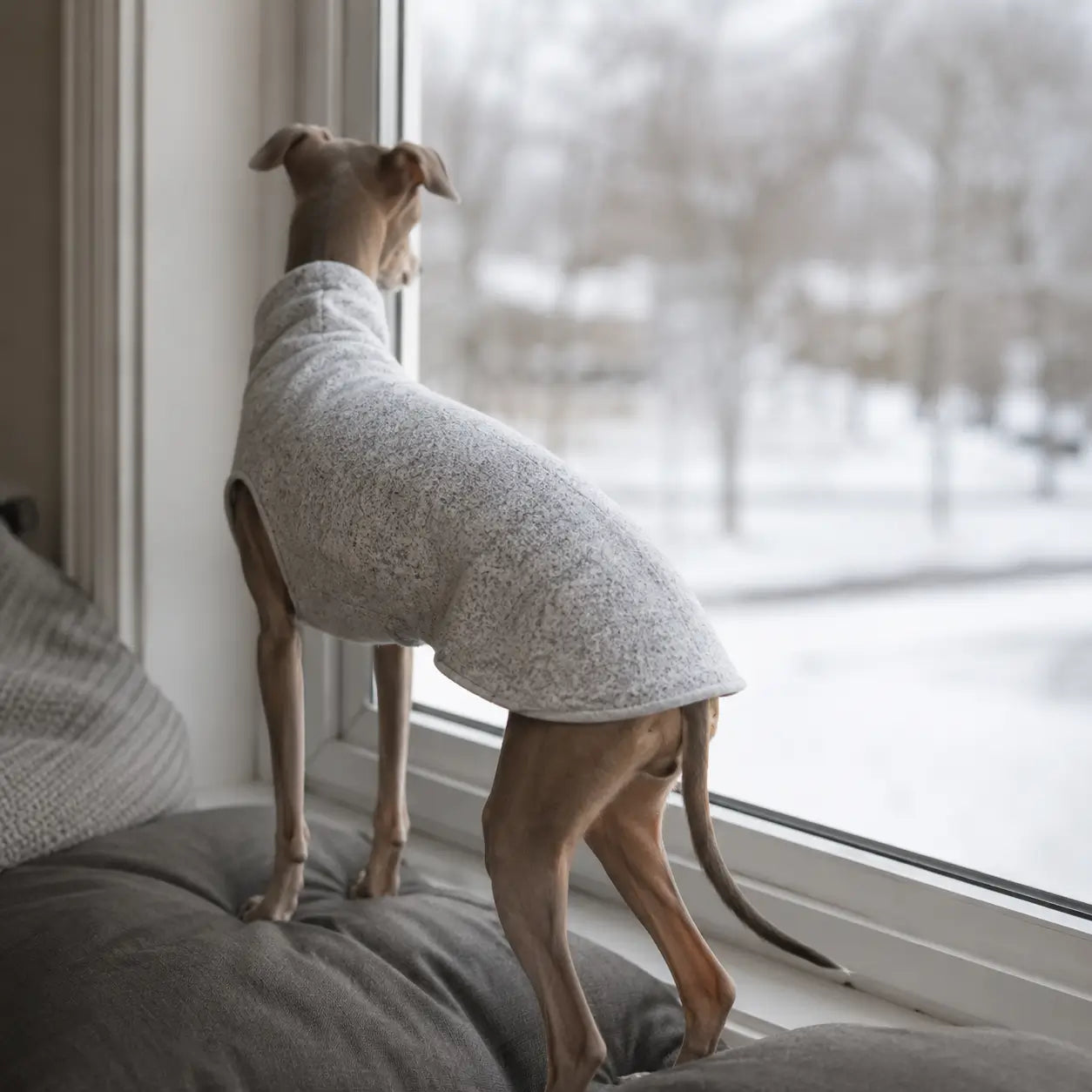 Fleece Hundemantel Lifestyle-Bild