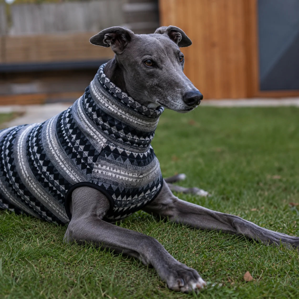 Fleece_Hundemantel  Lifestyle-Bild