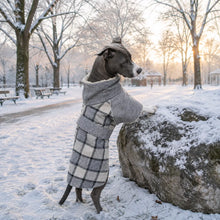 Hundemantel Lifestyle-Bild