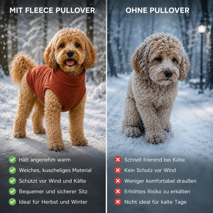 Hundemantel  Produktvergleich