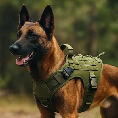 Dog harness with handle | Stable, comfortable, and suitable for outdoor use