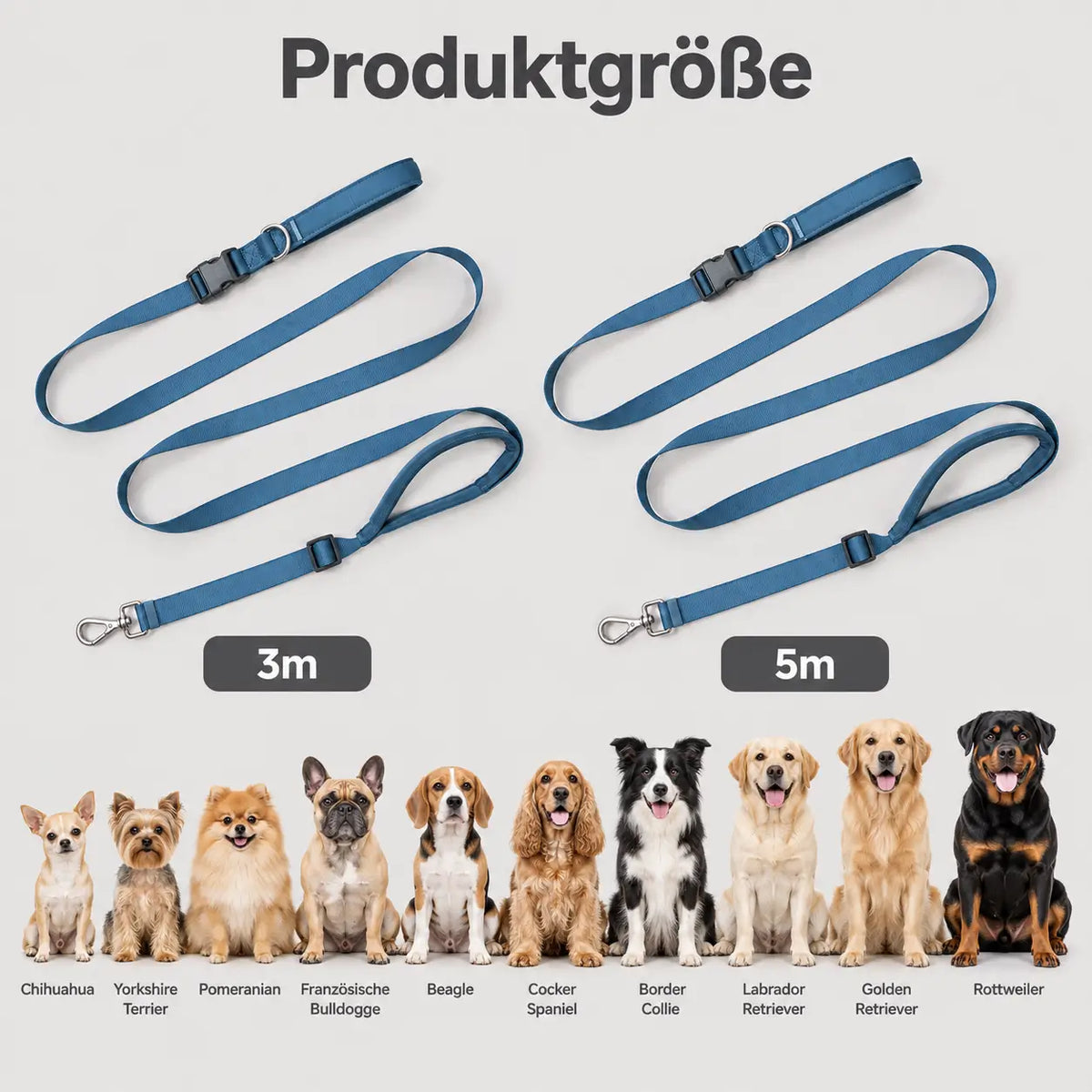 Hundehalsband Produktgröße