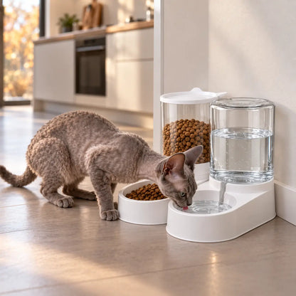 Futterautomat für Katzen Lifestyle-Bild 