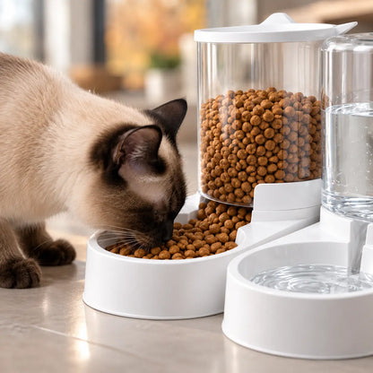 Futterautomat für Katzen Lifestyle-Bild 