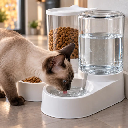 Futterautomat für Katzen Lifestyle-Bild 