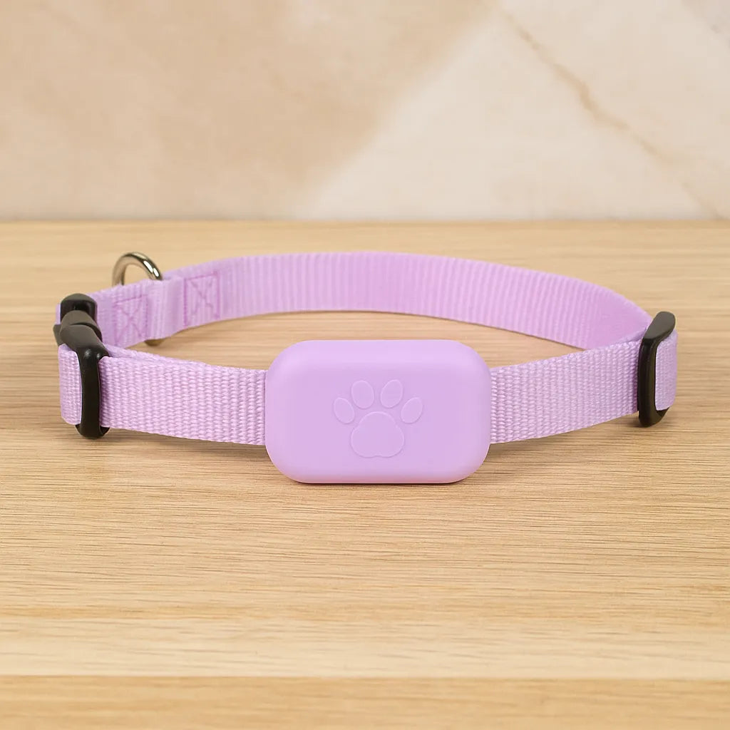 GPS-Tracker Rosa