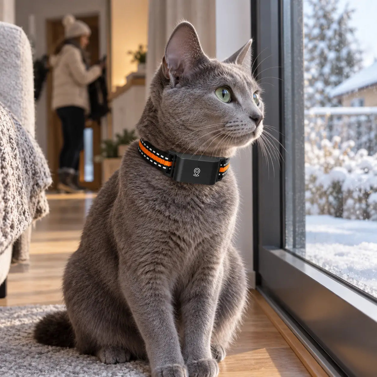 Katzenhalsband Lifestyle-Bild