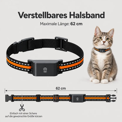 Katzenhalsband Produktgröße