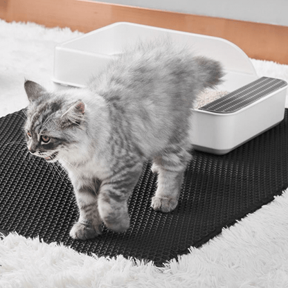 CleanPaw – Die hygienische Katzenstreumatte mit Wabenstruktur für ein sauberes Zuhause