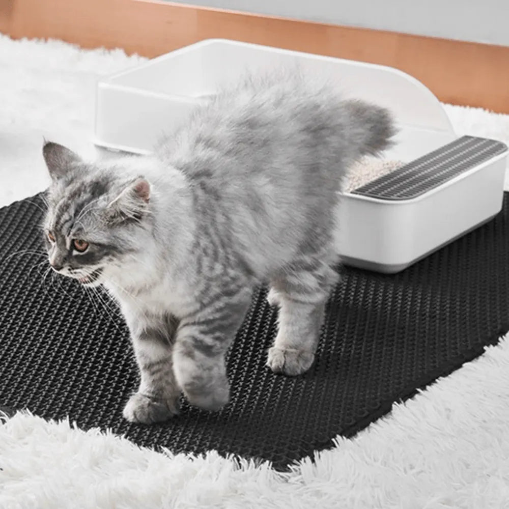 CleanPaw – Die hygienische Katzenstreumatte mit Wabenstruktur für ein sauberes Zuhause