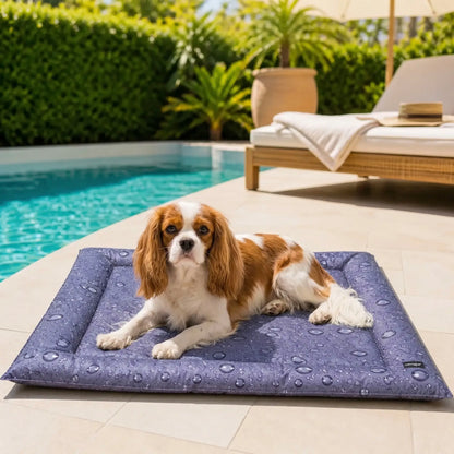 Hunde Kühlmatte wasserdicht & faltbar | Selbstkühlend Sommer