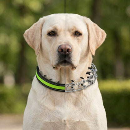 Anti-Pull Dog Collar | Gentle Control & Training