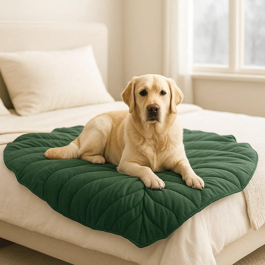 Hundedecke doppelseitig | weich, robust & leicht zu reinigen