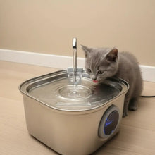 Stainless Steel Cat Drinking Fountain 3.2L | Quiet & Hygienic
