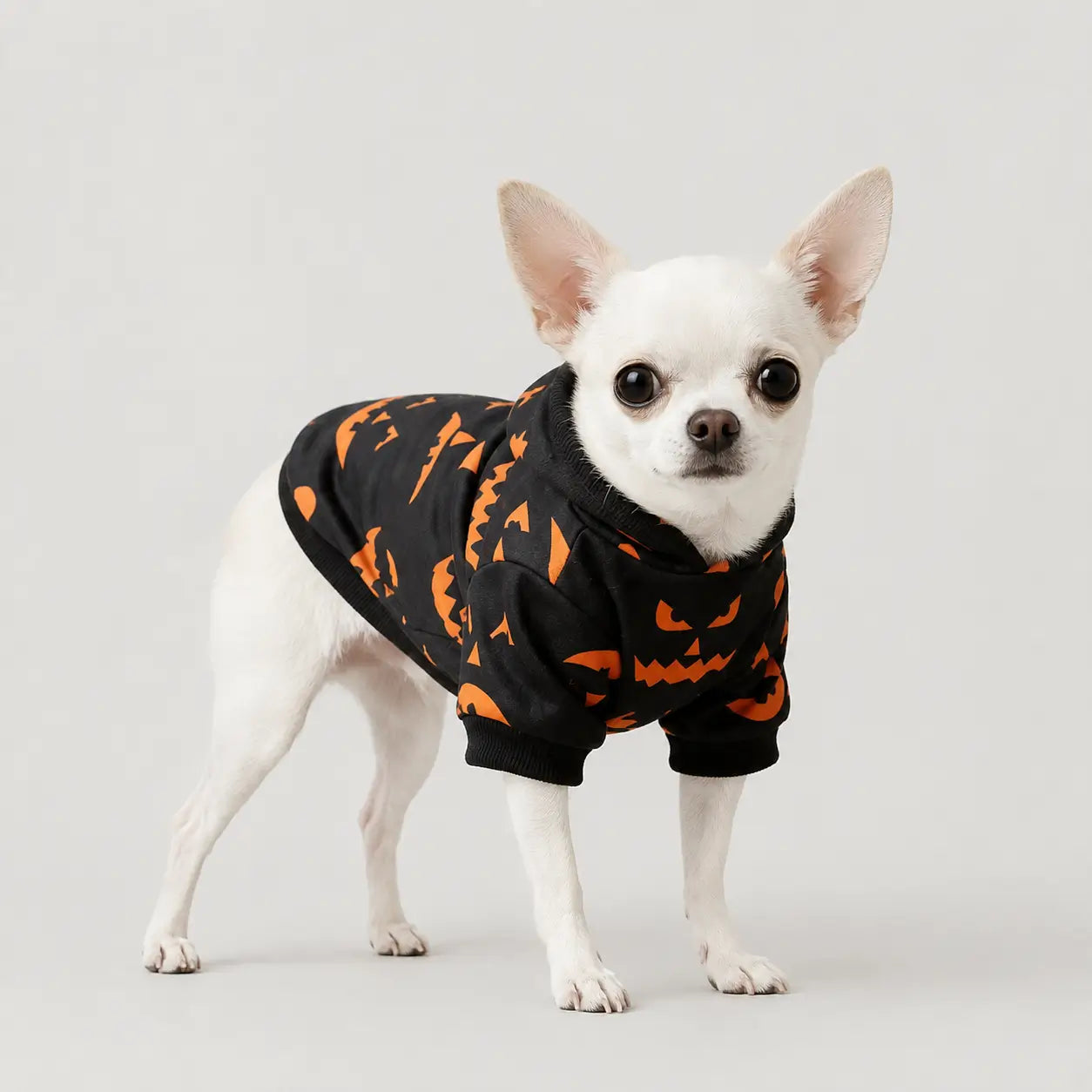 Herbst & Halloween Partnerlook | Pullover für Mensch & Hund