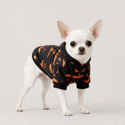 Herbst & Halloween Partnerlook | Pullover für Mensch & Hund