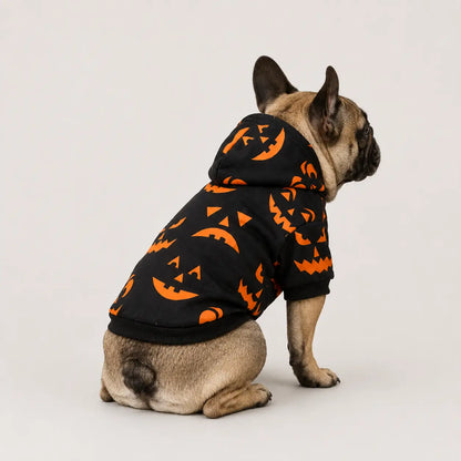 Herbst & Halloween Partnerlook | Pullover für Mensch & Hund